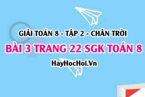 Bài 3 trang 22 Toán 8 Tập 2 Chân trời sáng tạo